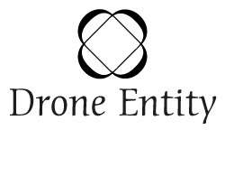 Drone Entity - Drone services